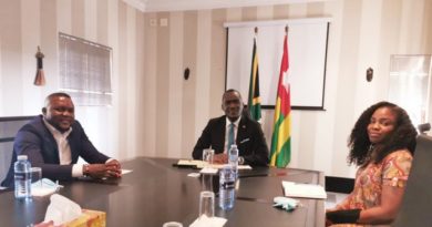 Meeting between the Chargé d’Affaires a.i. and the Togolese country delegate in South Africa
